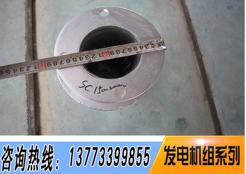 揚州市圣豐發電設備廠