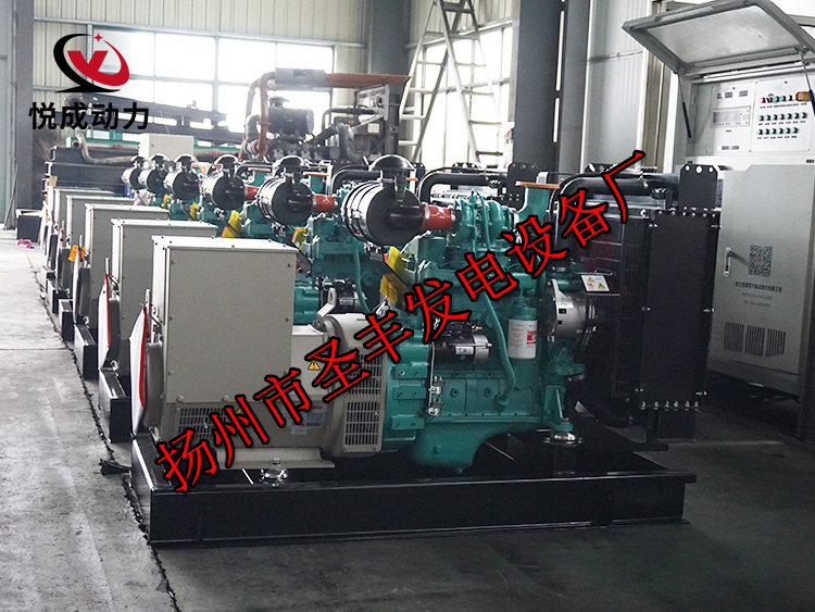 揚(yáng)州市圣豐發(fā)電設(shè)備廠